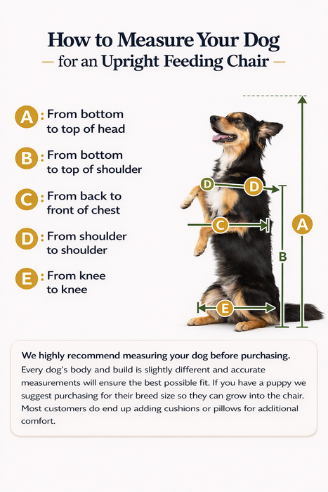 BAILEY- Dog High Chair for Megaesophagus