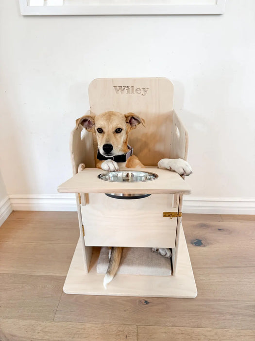 BAILEY- Dog High Chair for Megaesophagus– Bush Acres