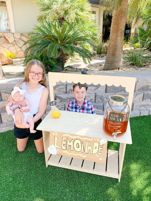 Montessori Lemonade Stand - Kissing Booth - Girl Scout Cookies - Market Stand - Children Play Store