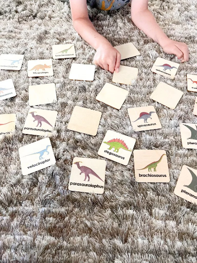 Montessori Wooden Dinosaur Game - Dinosaur Memory Cards - Memory Game for Toddlers - Educational Wood Toys